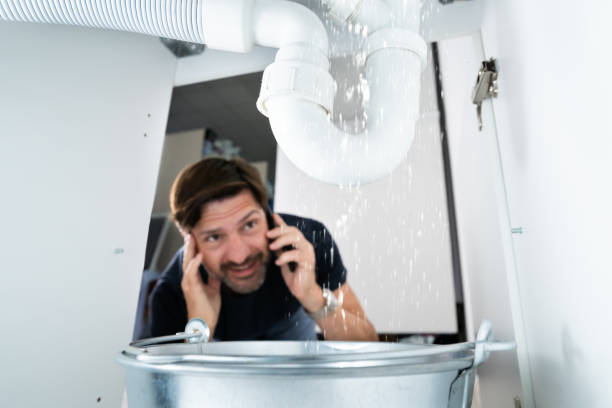 Best Local Plumber Services  in West Fork, AR